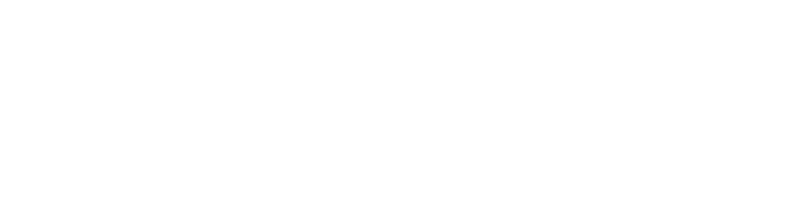 AES American Energy Systems_White_Horizontal America Energy Systems Logo